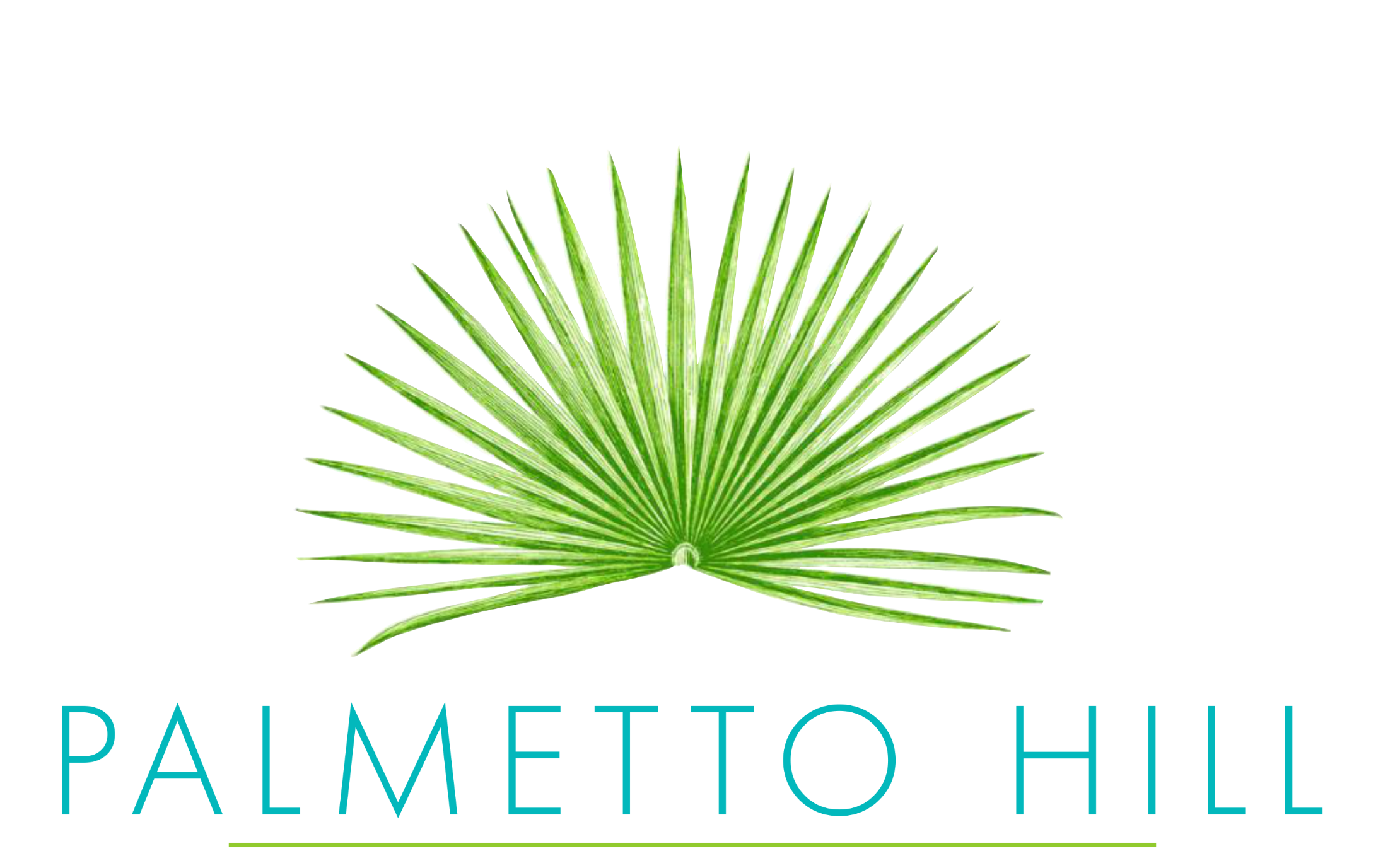 Palmetto Hill Website